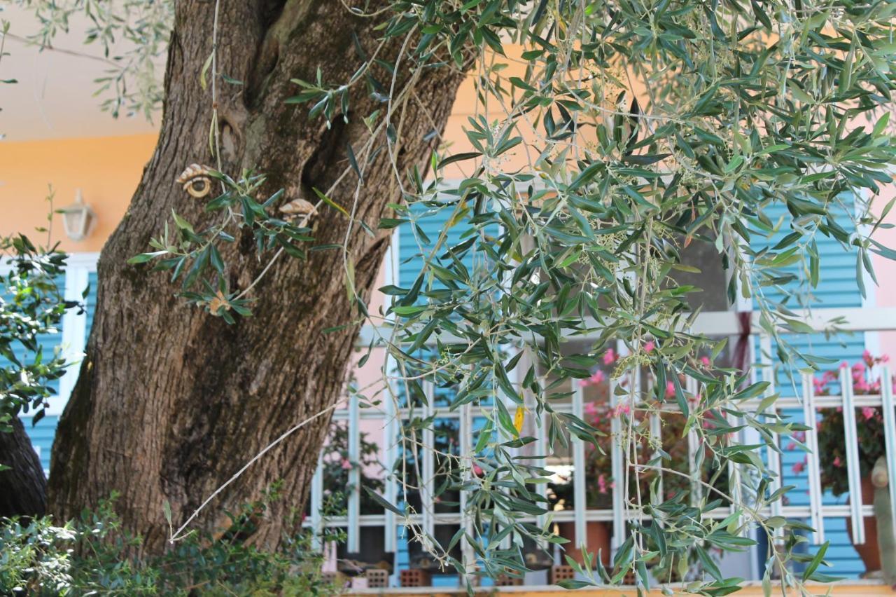 Theama Corfu Marathias